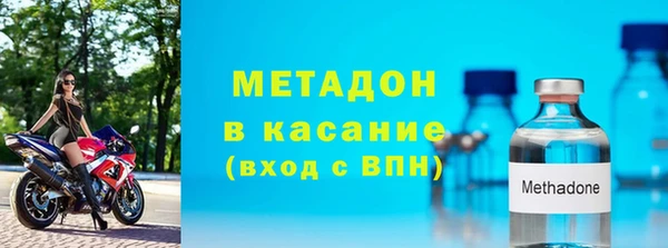 стаф Алзамай