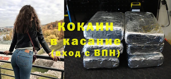 шишки Алексин