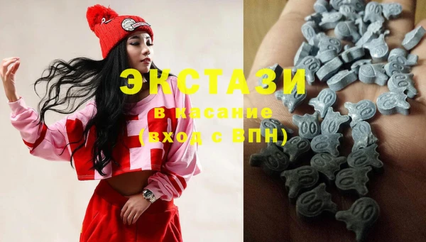 стаф Алзамай
