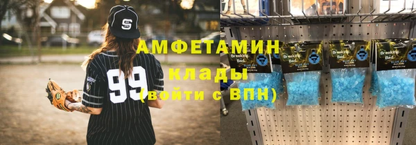 шишки Алексин