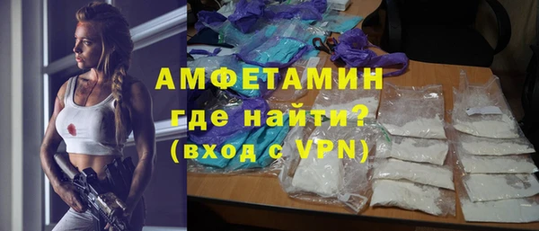стаф Алзамай