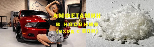 шишки Алексин